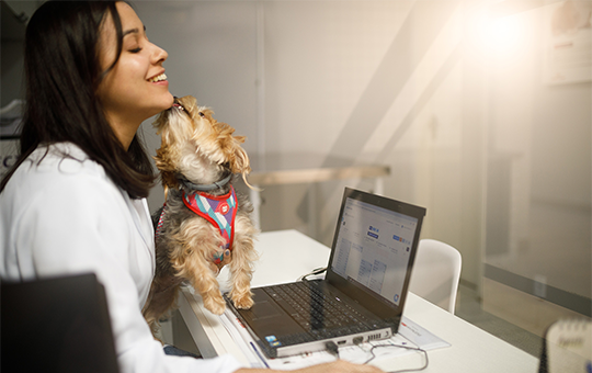 Sistema para Pet Shop e Clínica Veterinária