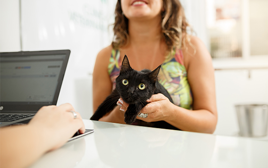 Sistema para Pet Shop e Clínica Veterinária
